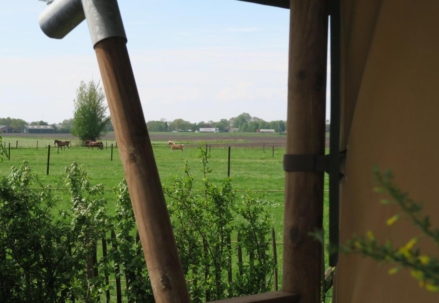 Luxe Safaritenten Petit013 - Nieuw Тілбург Номер фото