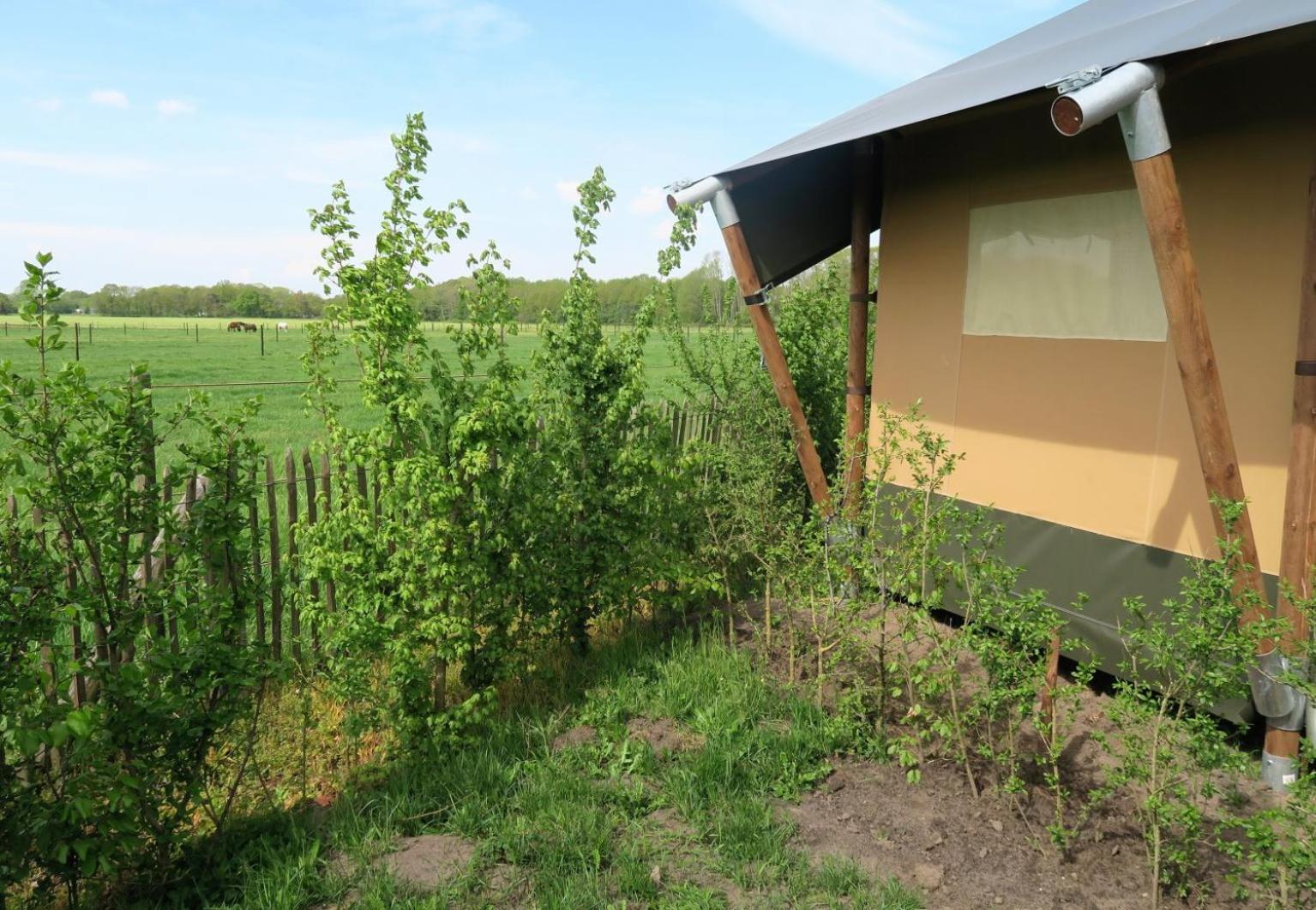 Luxe Safaritenten Petit013 - Nieuw Тілбург Номер фото